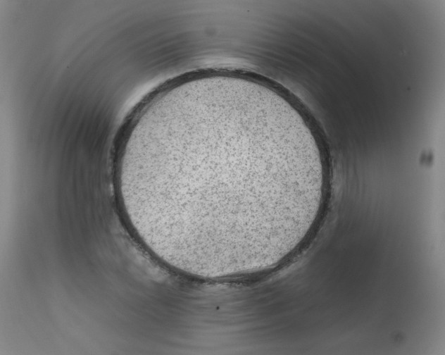 X0000111901022200908240956