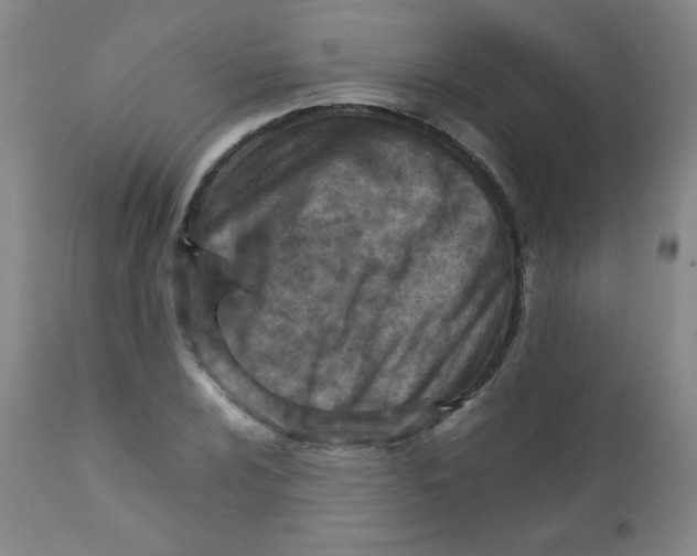 X0000111901024200908240956