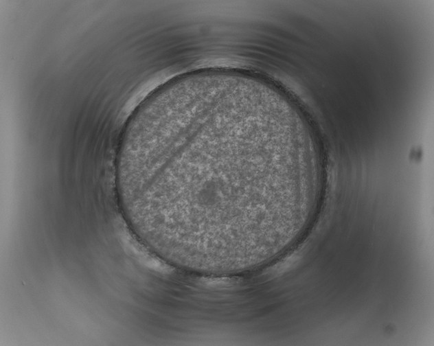 X0000111901025200908240956