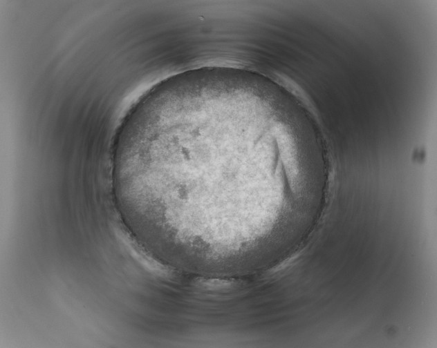 X0000111901027200908240956