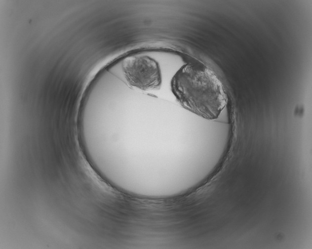 X0000111901028200908240956