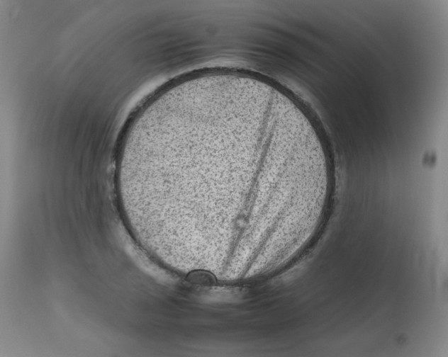 X0000111901029200908240956