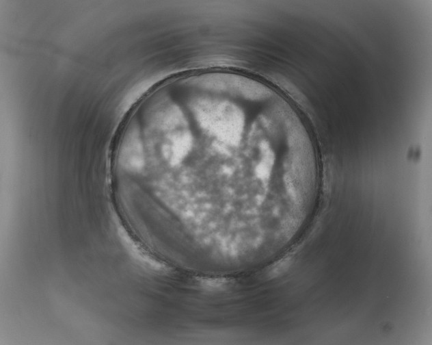 X0000111901031200908240956