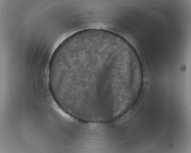 X0000111901032200908240956