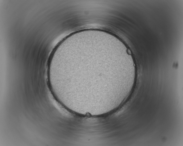 X0000111901034200908240956