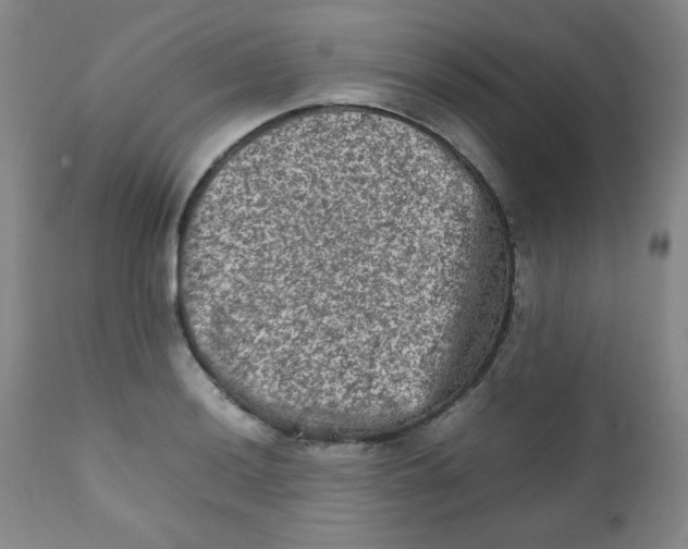 X0000111901036200908240956