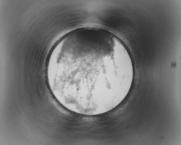 X0000111901037200908240956