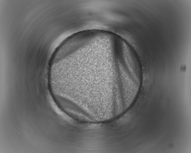 X0000111901038200908240956