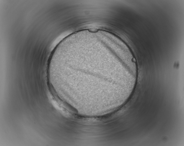 X0000111901042200908240956