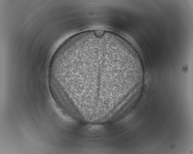 X0000111901043200908240957