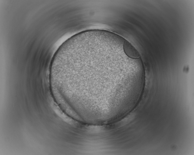 X0000111901044200908240957