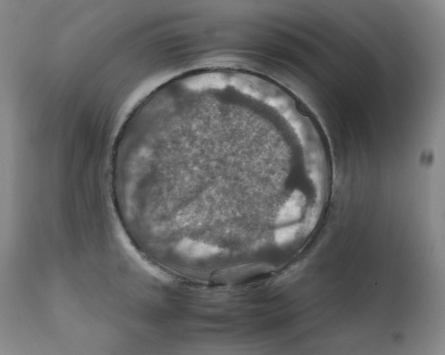 X0000111901045200908240957