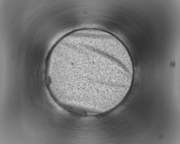 X0000111901046200908240957