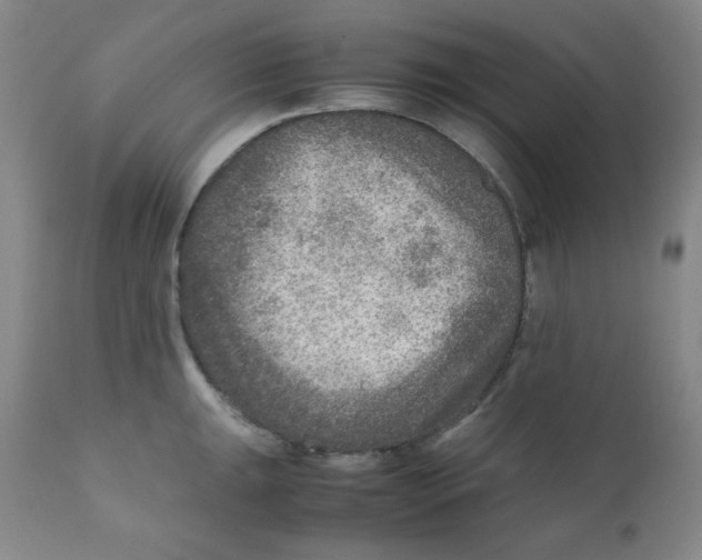 X0000111901047200908240957