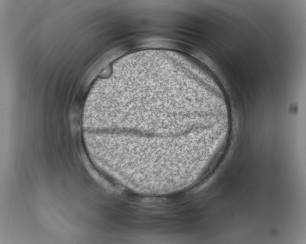 X0000111901049200908240957