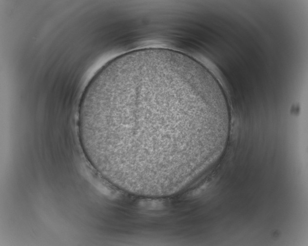 X0000111901051200908240957