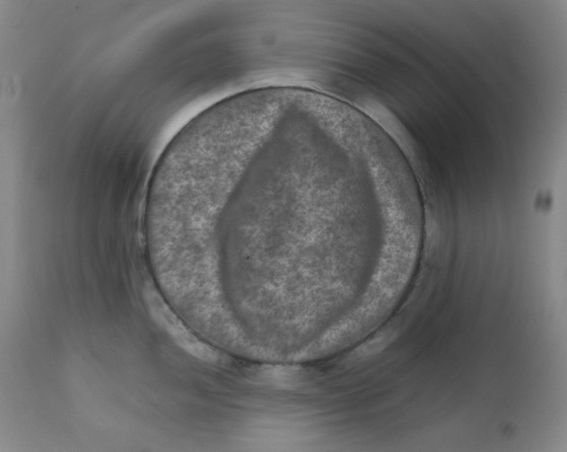 X0000111901052200908240957