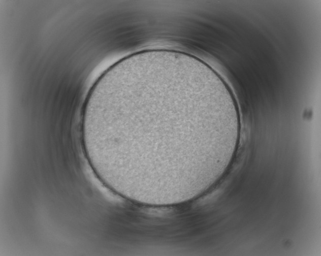 X0000111901053200908240957