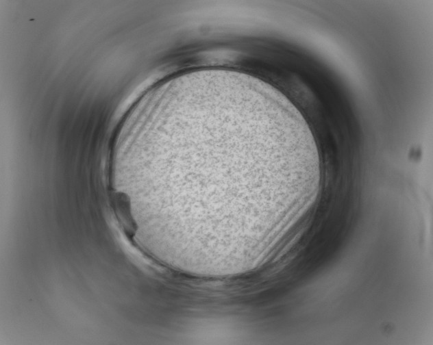 X0000111901054200908240957