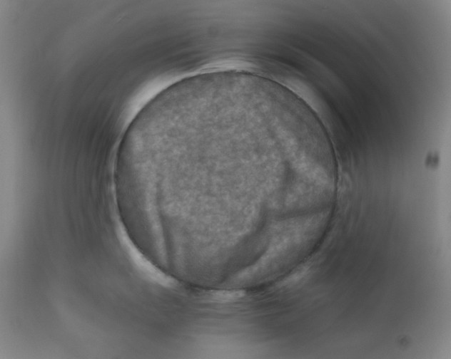 X0000111901055200908240957