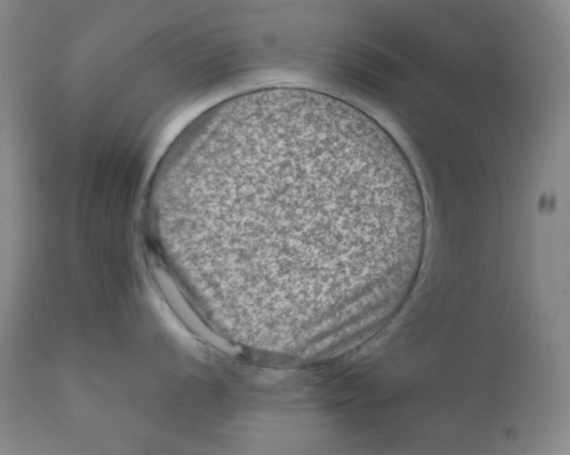 X0000111901056200908240957