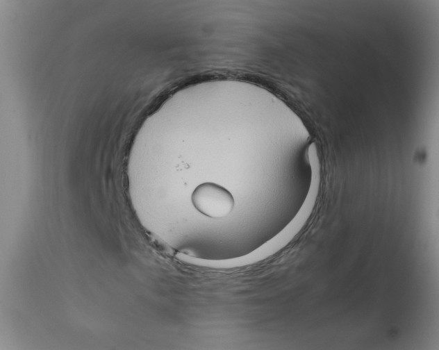 X0000111901057200908240956