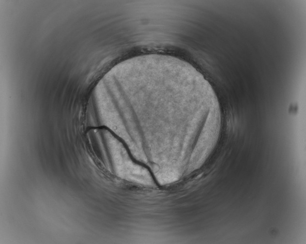 X0000111901060200908240956