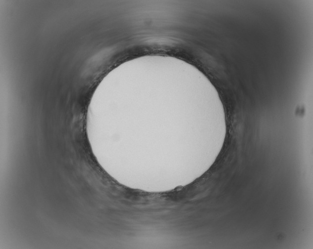 X0000111901061200908240956