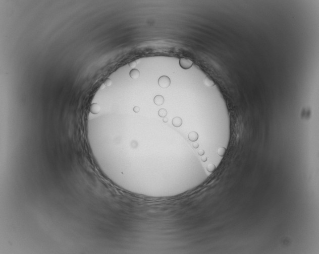 X0000111901062200908240956