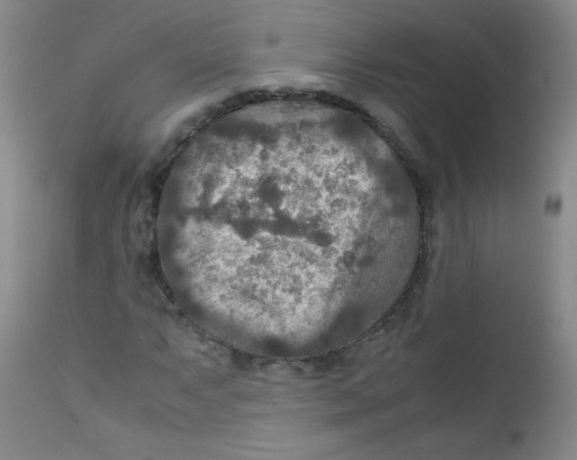 X0000111901063200908240956