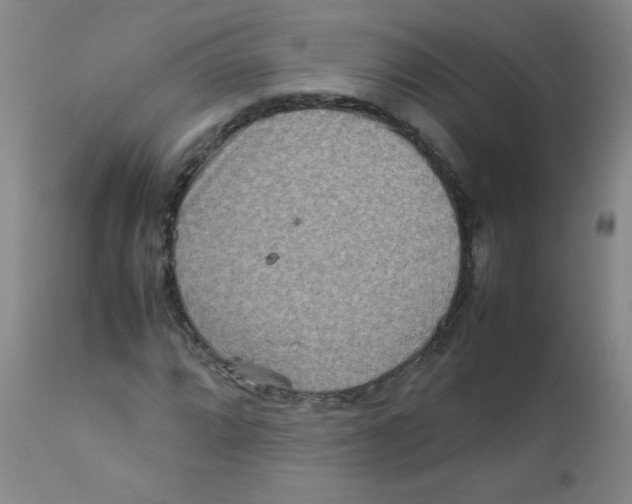 X0000111901064200908240956