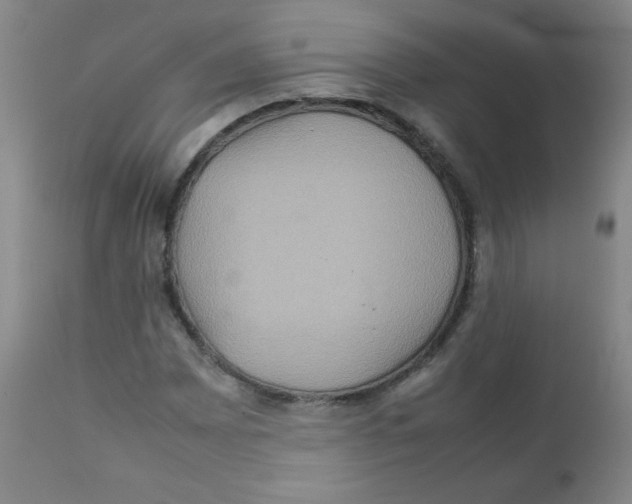 X0000111901065200908240956