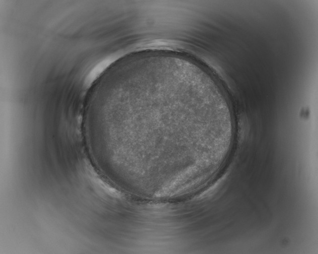 X0000111901066200908240956