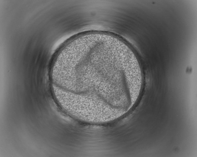 X0000111901070200908240956