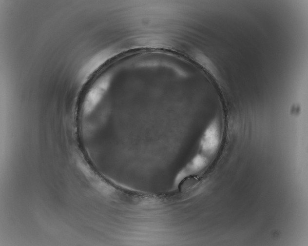 X0000111901071200908240956