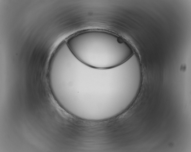 X0000111901072200908240956