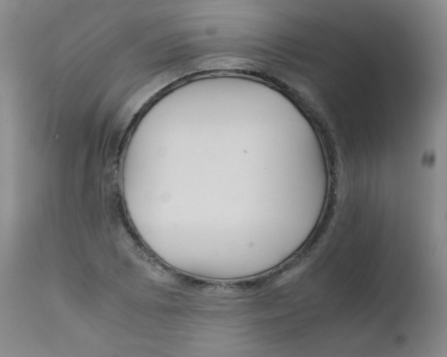 X0000111901073200908240956