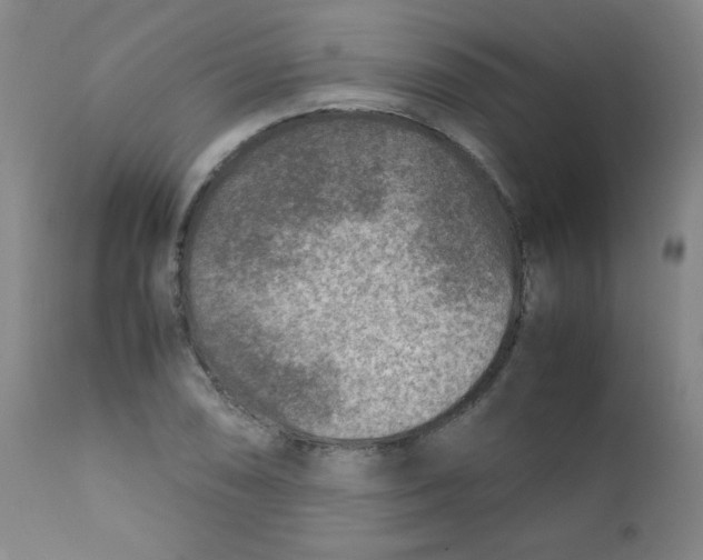 X0000111901074200908240956