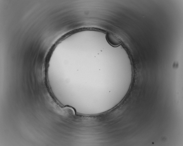 X0000111901076200908240956