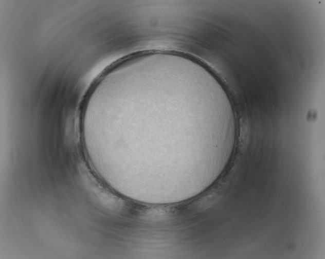 X0000111901078200908240956