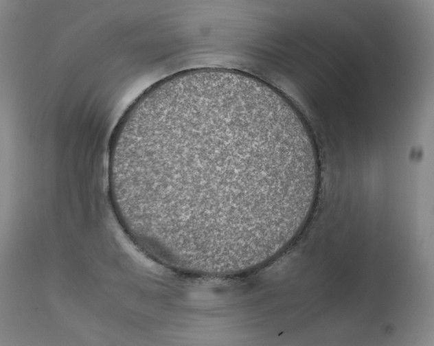 X0000111901079200908240956