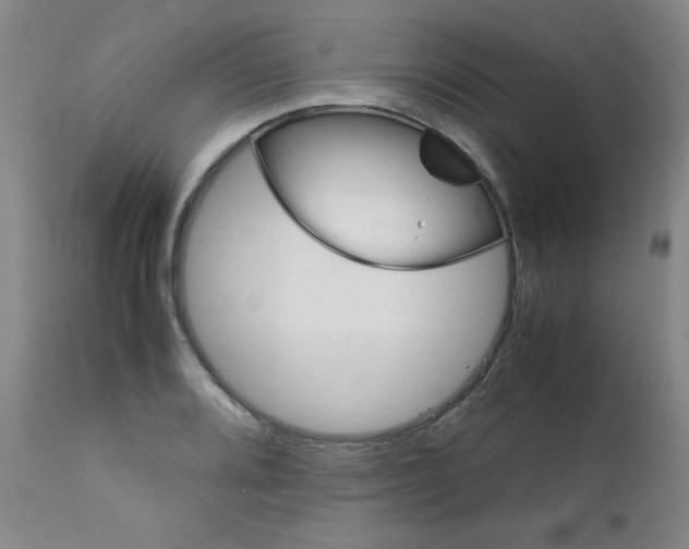 X0000111901080200908240956