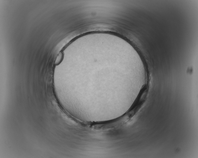 X0000111901081200908240956