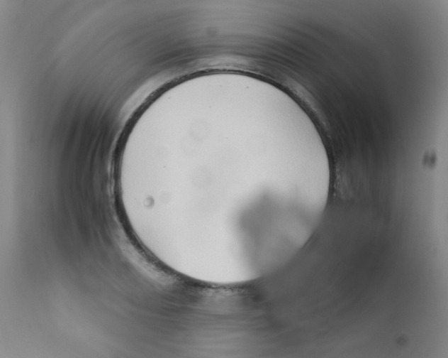 X0000111901082200908240956