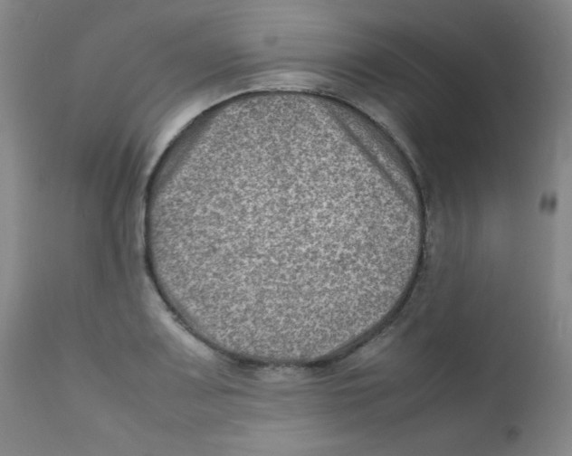 X0000111901083200908240956