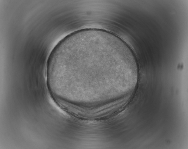 X0000111901084200908240956