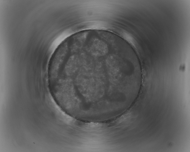 X0000111901087200908240956