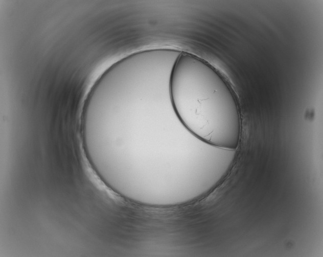 X0000111901088200908240956