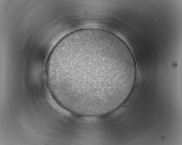 X0000111901090200908240956