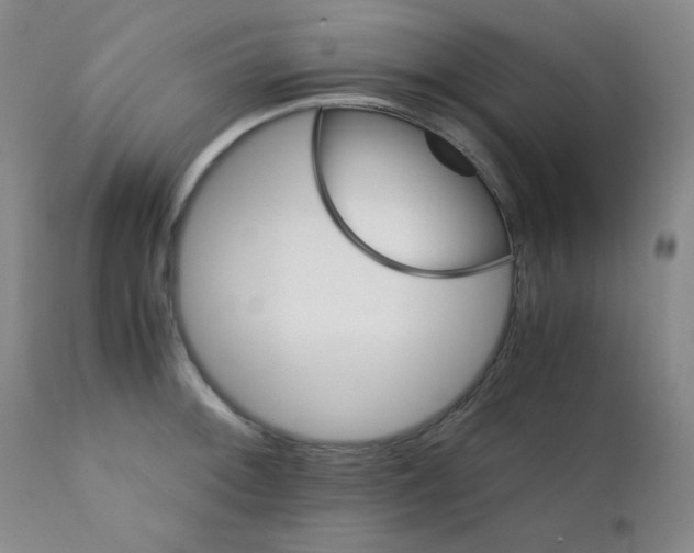 X0000111901092200908240956